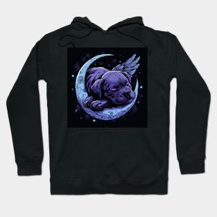 Staffy On The Moon Hoodie